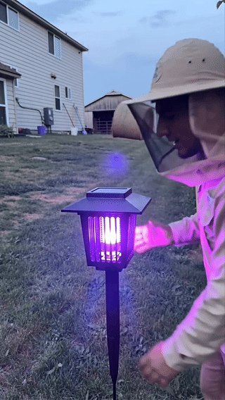 La luz UV atrapa los mosquitos en minutos